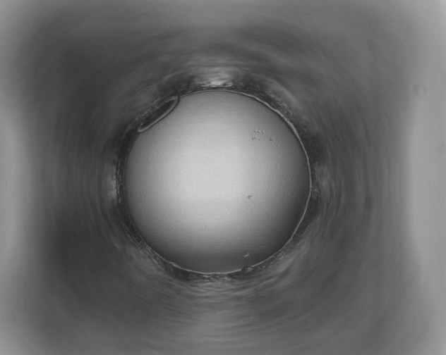 X0000111041442200907021549