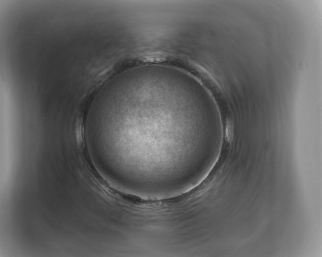 X0000111041444200907021549
