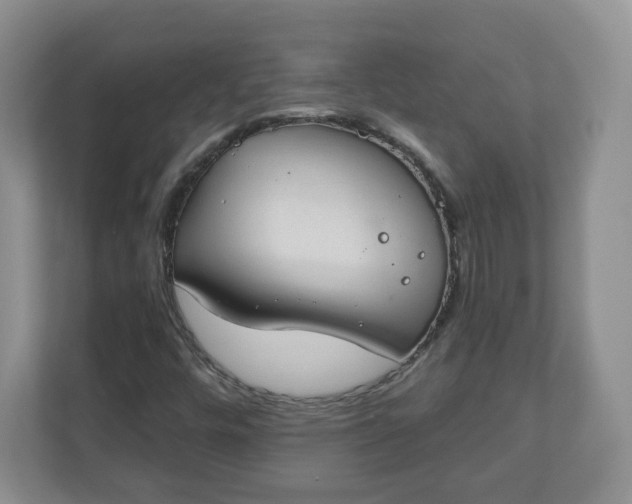 X0000111041448200907021549