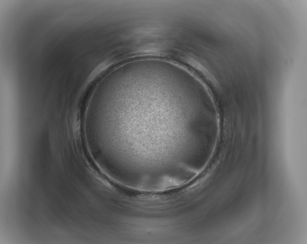 X0000111041450200907021549