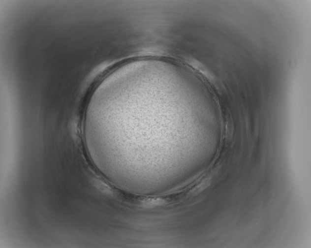 X0000111041454200907021549
