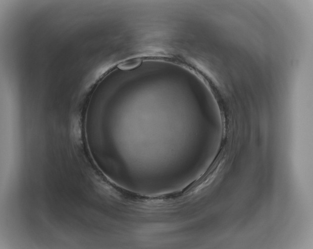 X0000111041455200907021549