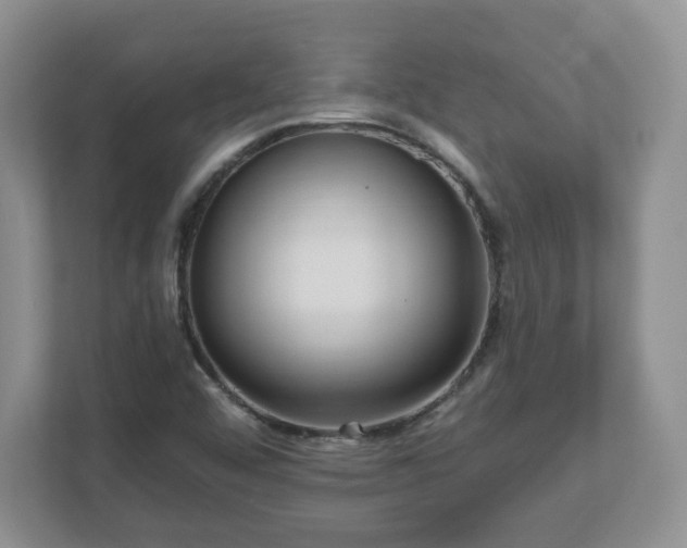 X0000111041456200907021548