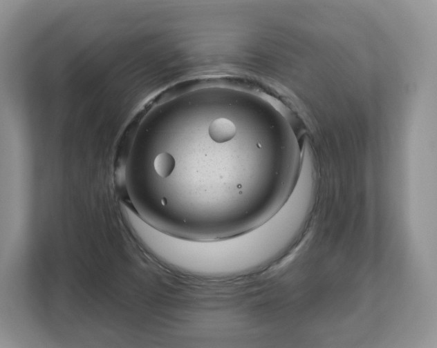X0000111041457200907021548