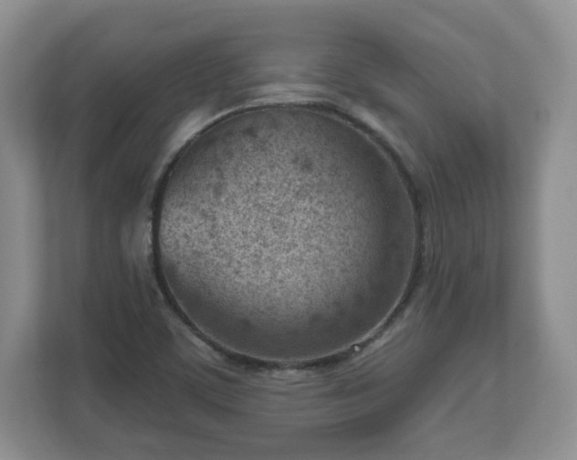 X0000111041459200907021548