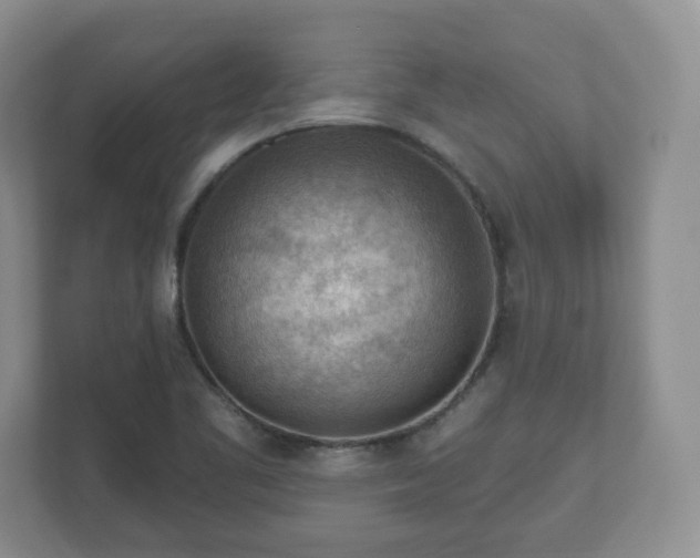 X0000111041461200907021548