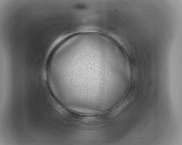X0000111041462200907021548
