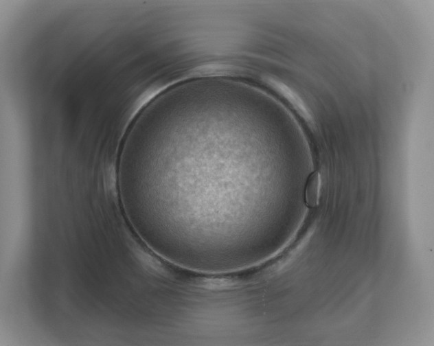 X0000111041465200907021548