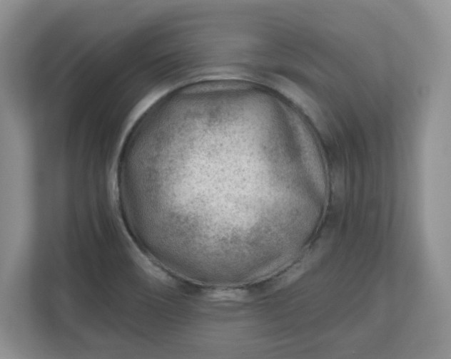 X0000111041466200907021548