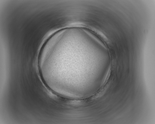 X0000111041470200907021548