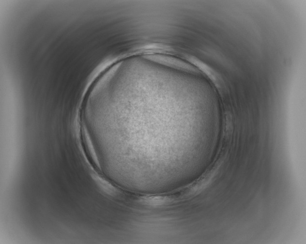 X0000111041474200907021548