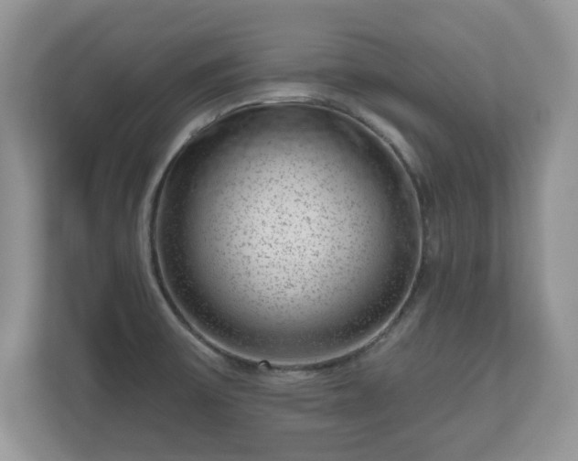 X0000111041475200907021548
