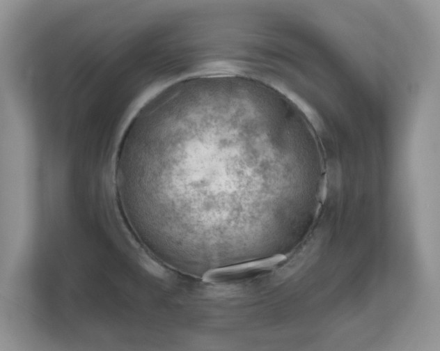 X0000111041477200907021548