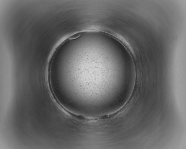X0000111041480200907021548