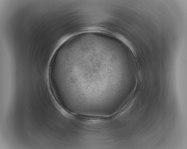 X0000111041482200907021548