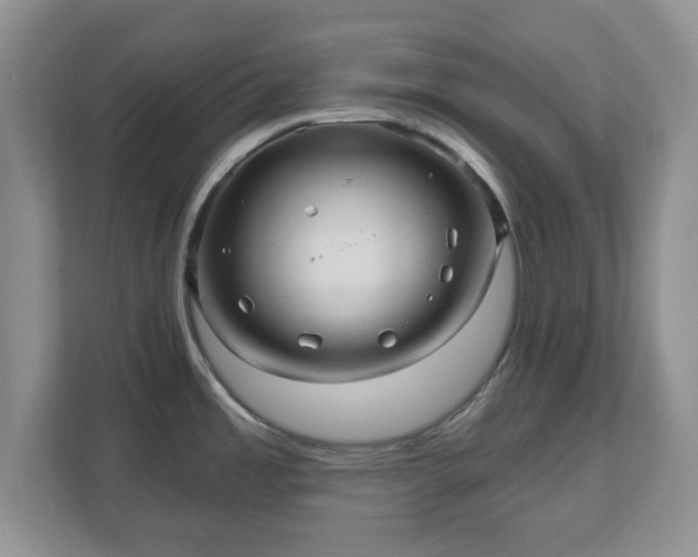 X0000111041485200907021548