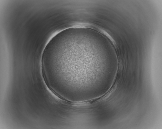 X0000111041487200907021548