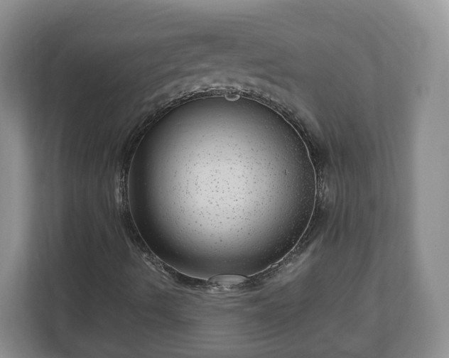 X0000111041490200907021547