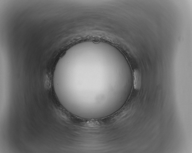 X0000111041491200907021547