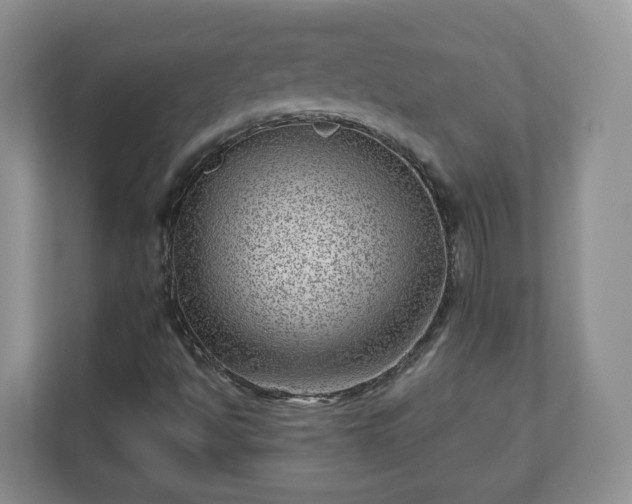 X0000111041494200907021548