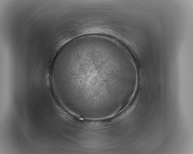 X0000111041497200907021548