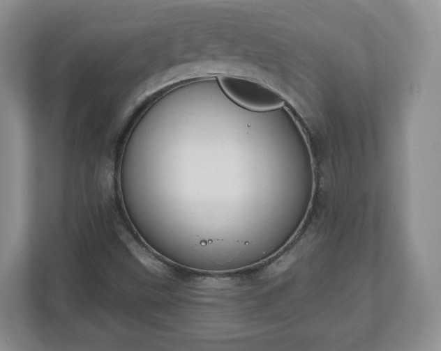 X0000111041499200907021548
