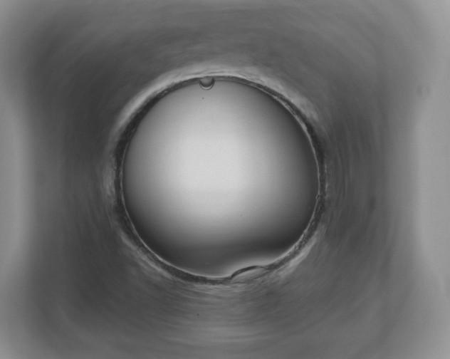 X0000111041502200907021548