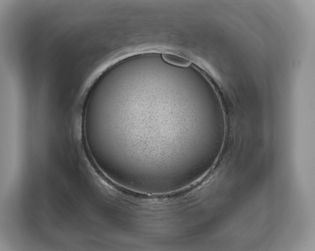 X0000111041504200907021548