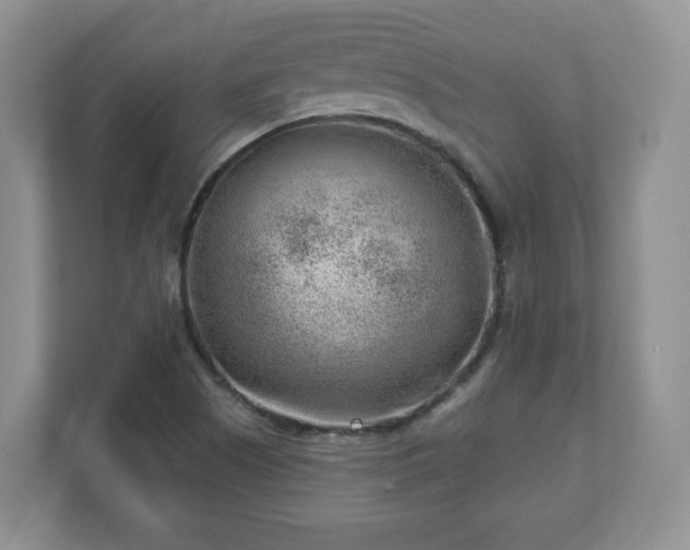 X0000111041505200907021548