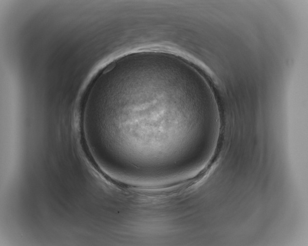 X0000111041506200907021548