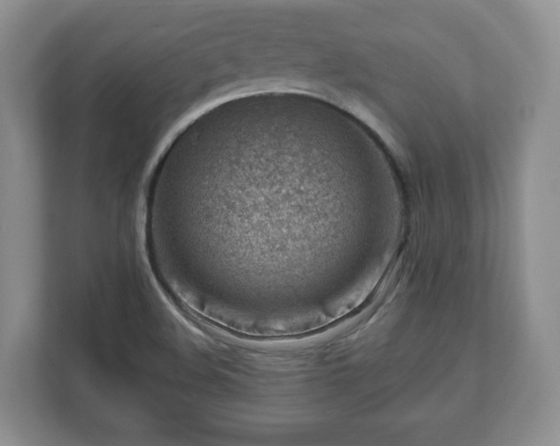X0000111041508200907021548