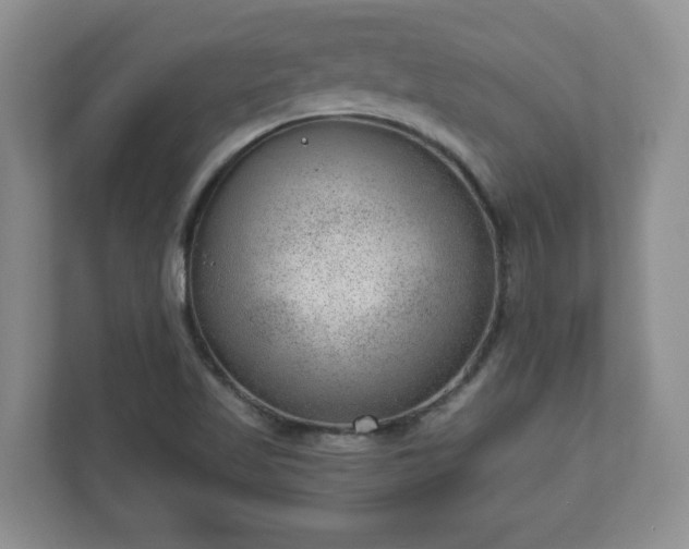 X0000111041509200907021548