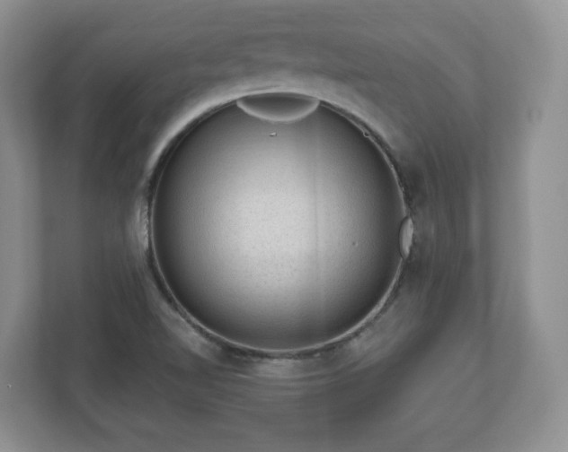 X0000111041510200907021548
