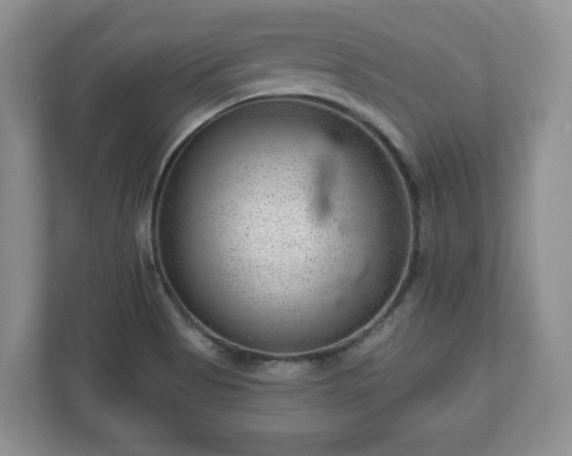 X0000111041513200907021548