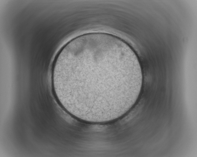 X0000111041514200907021548