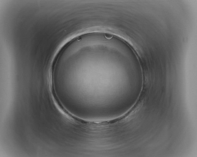 X0000111041515200907021548
