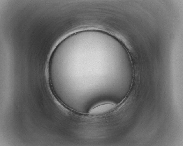 X0000111041516200907021548