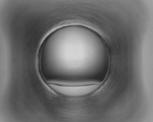X0000111041518200907021548