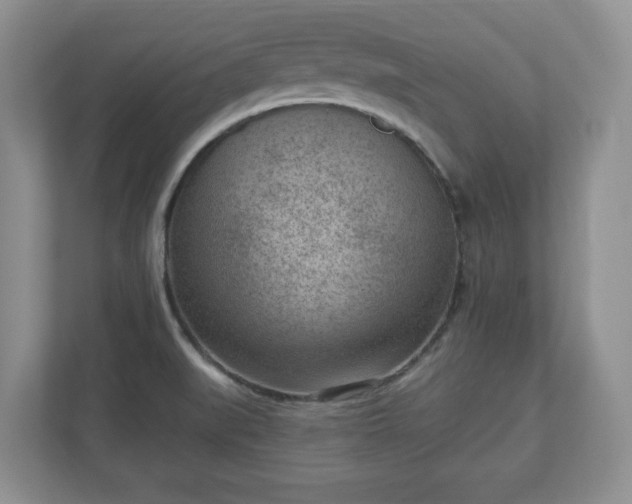 X0000111041519200907021548