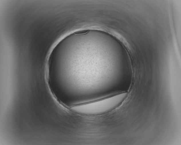 X0000111041520200907021548