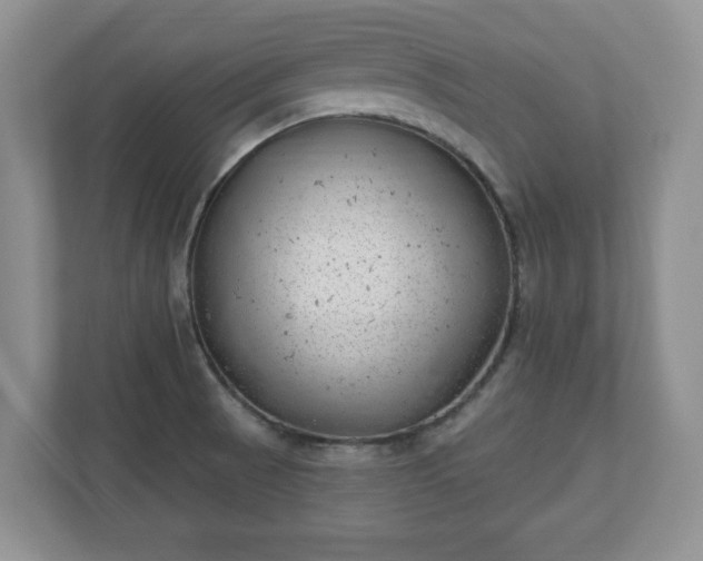 X0000111041521200907021548