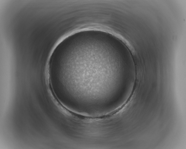 X0000111041522200907021548