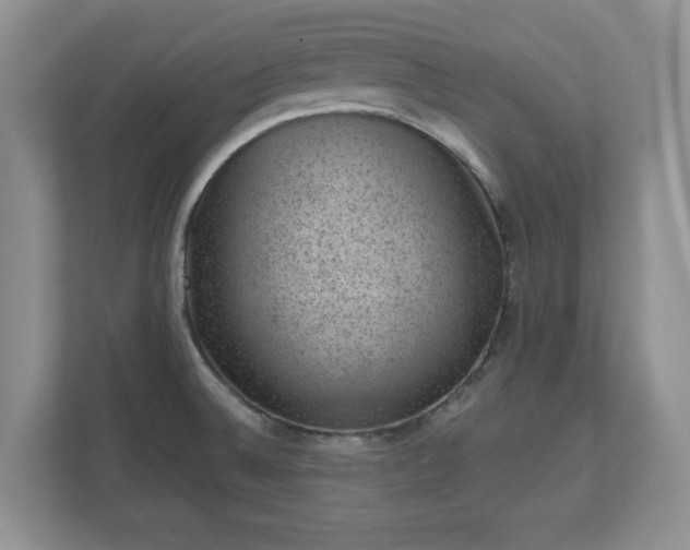 X0000111041524200907021548