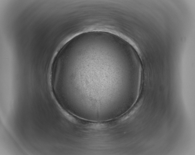 X0000111041525200907021548