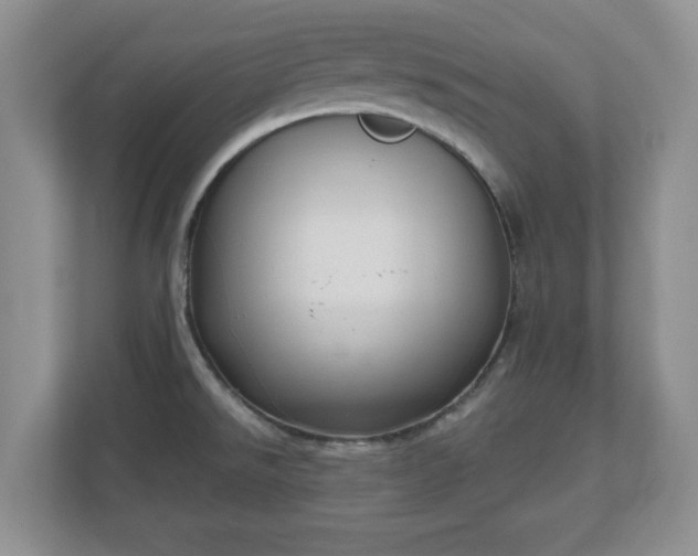 X0000111041526200907021548