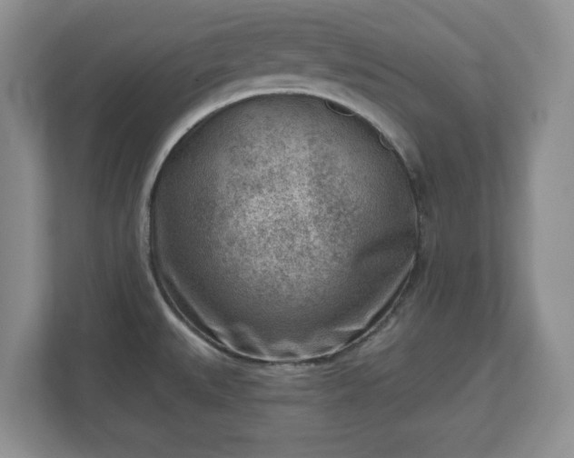 X0000111041527200907021548