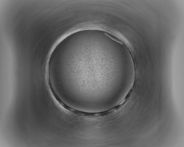 X0000111041528200907021548