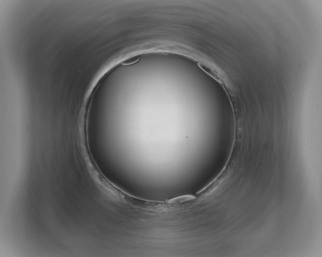 X0000111041530200907021548