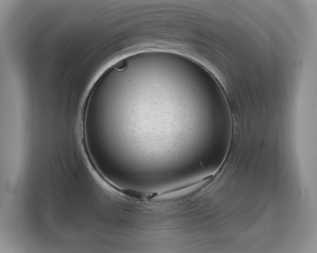 X0000111041531200907021548