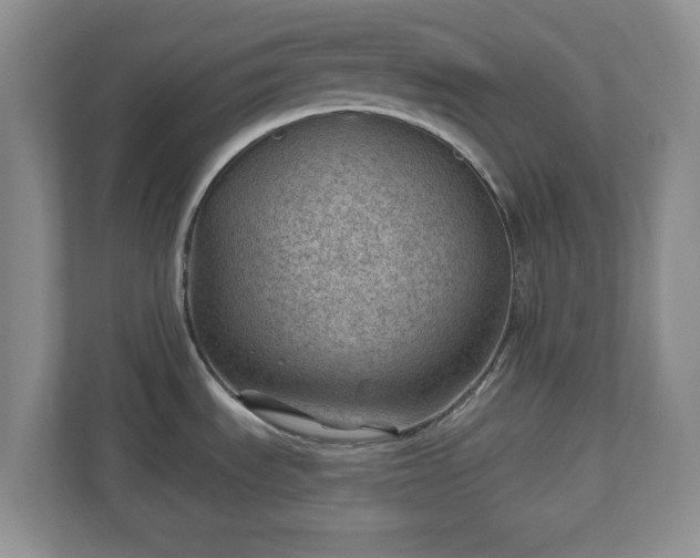 X0000111041535200907021548